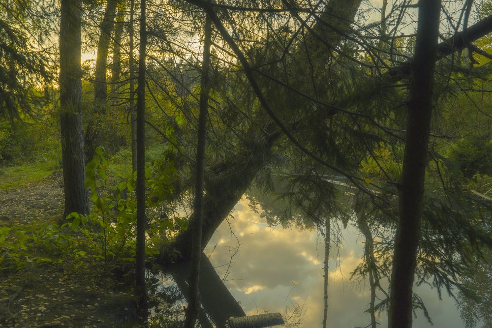 Photograph by Петр