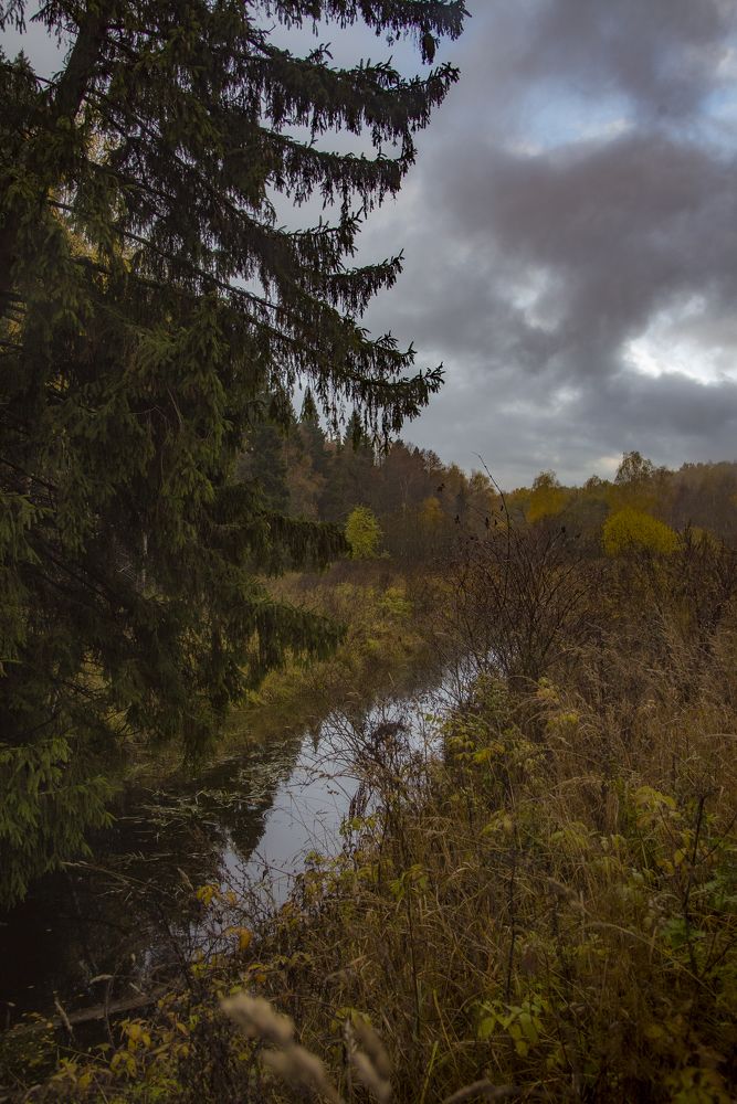 Photograph by Петр