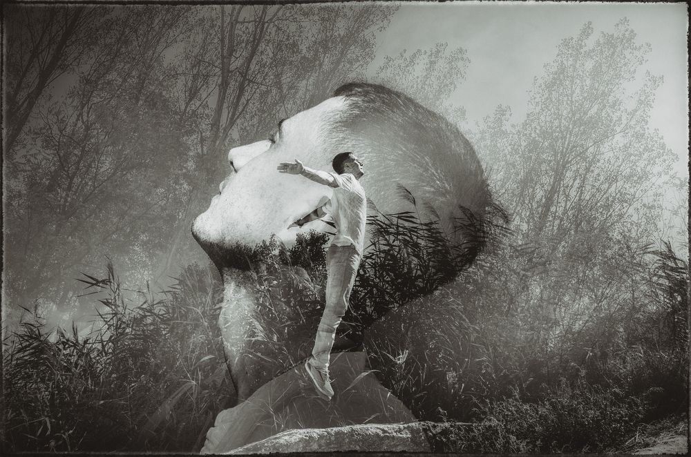 Куда уводят мечты