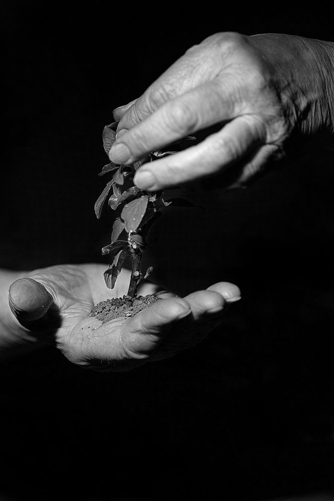 Photograph by Валерий Евтушенко