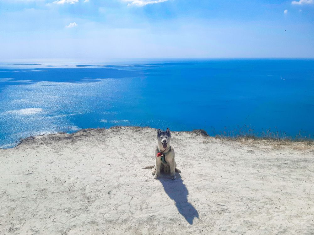 Фотография автора Мария Яропольская