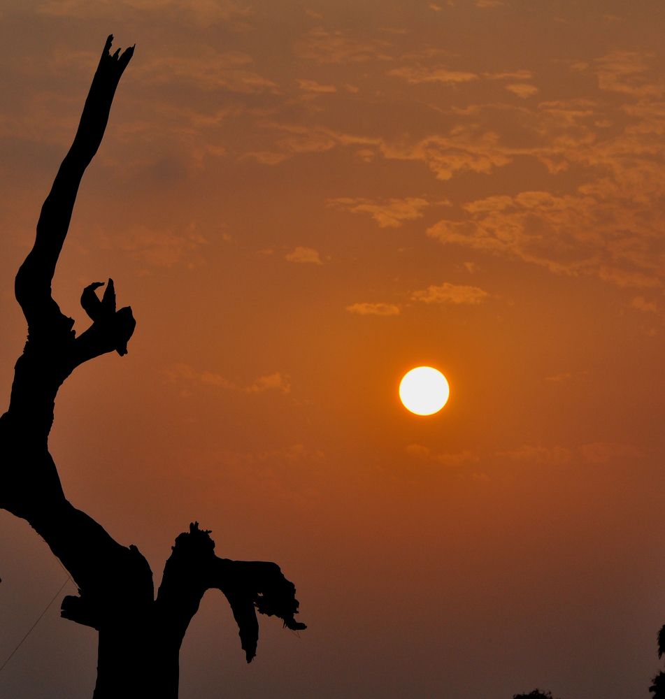 Photograph by SHARMA SANDEEP KUMAR SHARMA