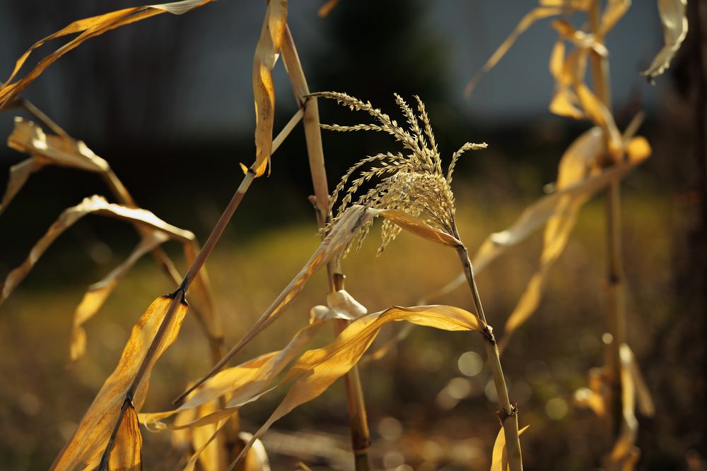 Photograph by Татьяна