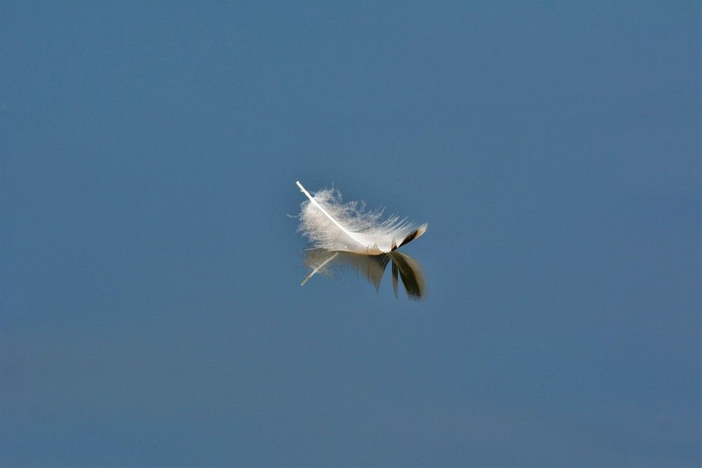 Photograph by Анатолий Каминский