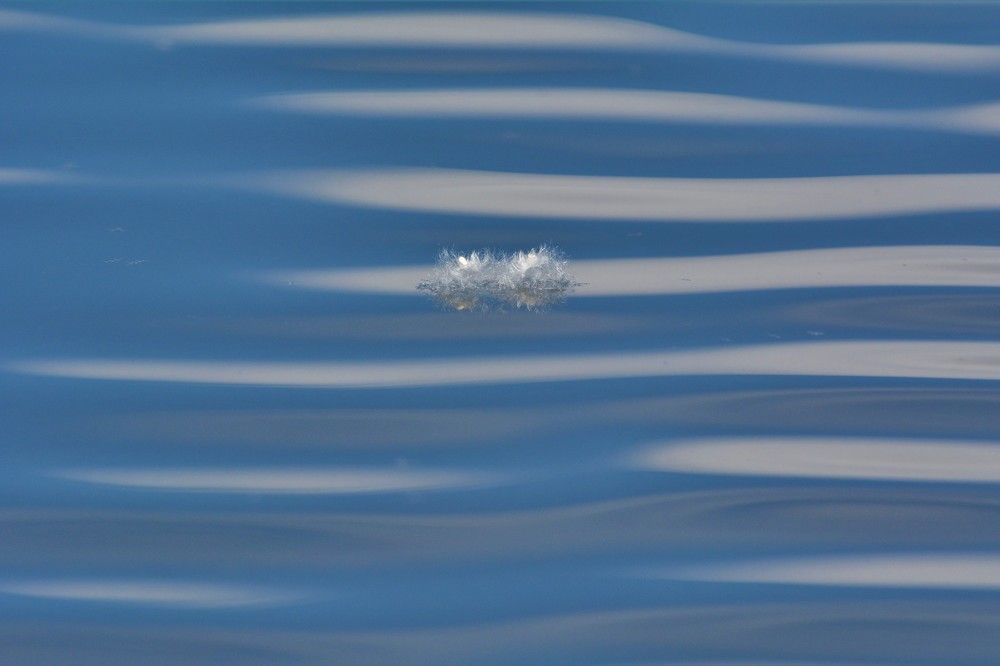 Photograph by Анатолий Каминский