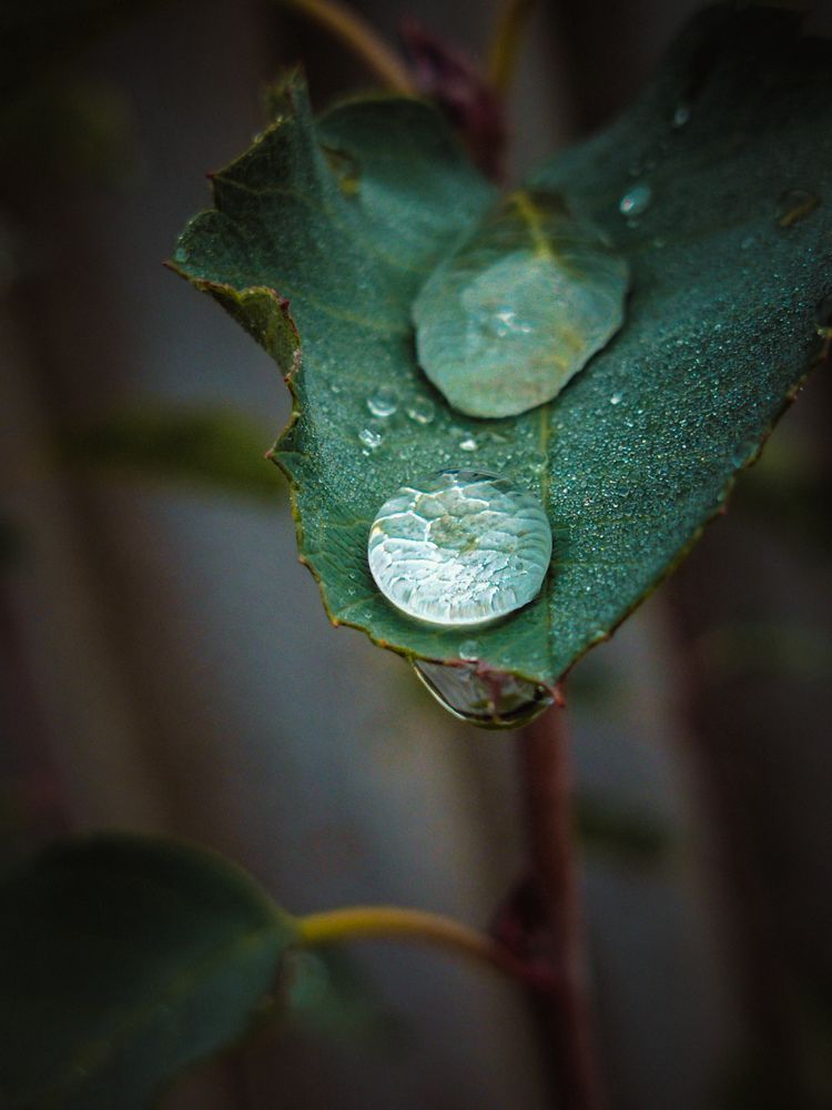 Photograph by Larisa