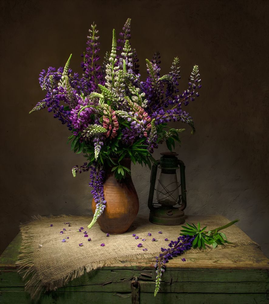 Photograph by 