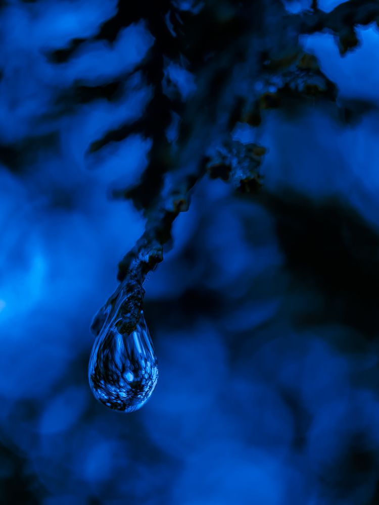 Photograph by Лариса Когтева