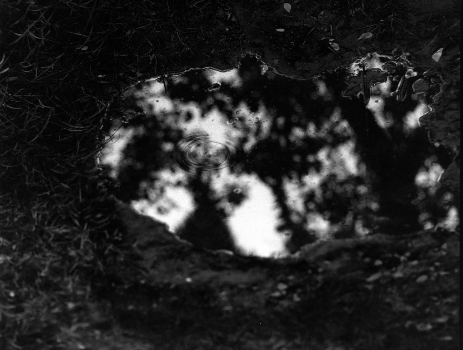 倒映 Reflected