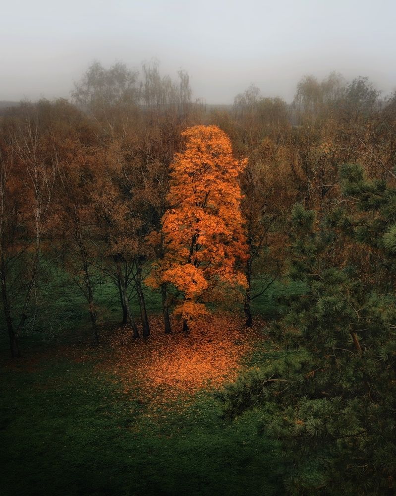 Photograph by Протасов Сергей