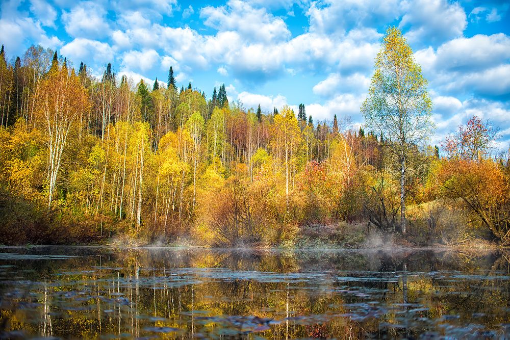 Photograph by Ильдар Шангараев