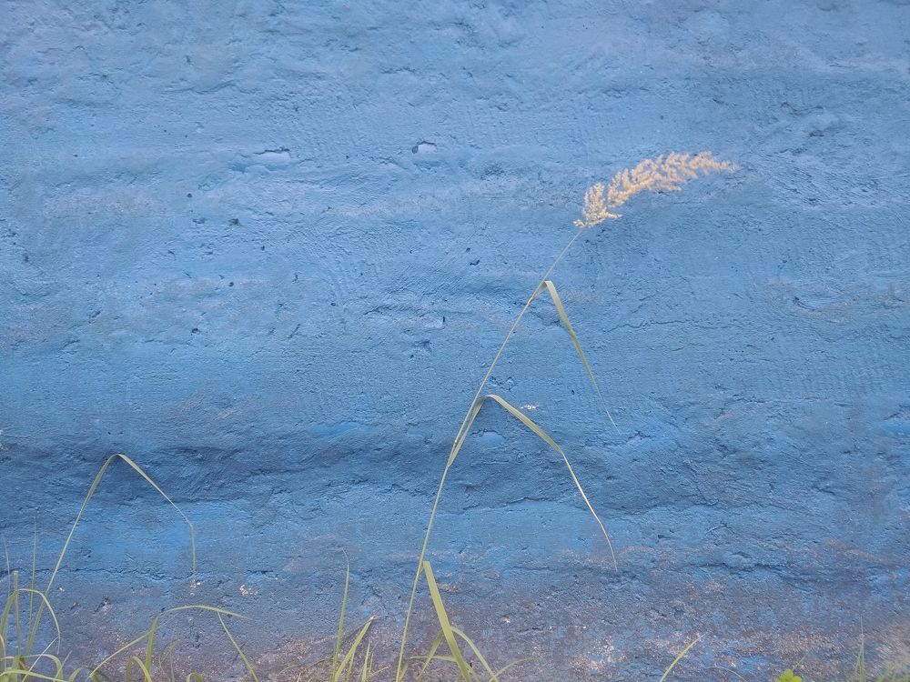 Фотография автора Наталья Боярина