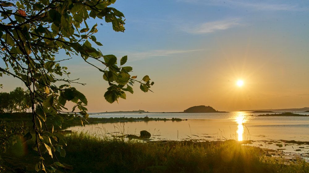 Photograph by Александр Антонов