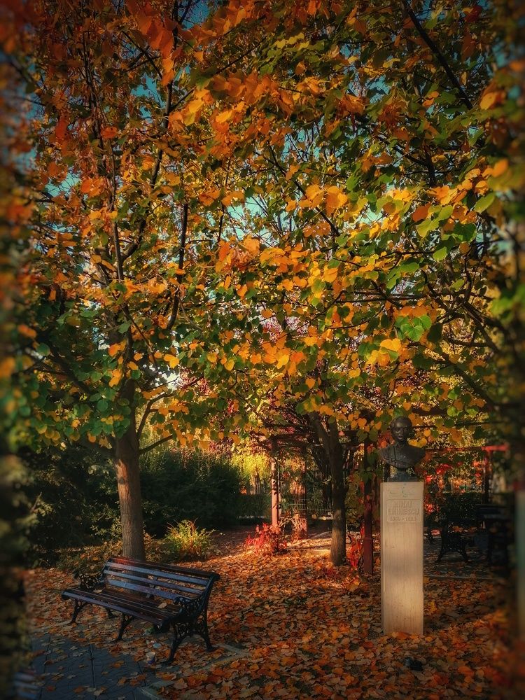 Photograph by Mariana Ștefania Odințoi