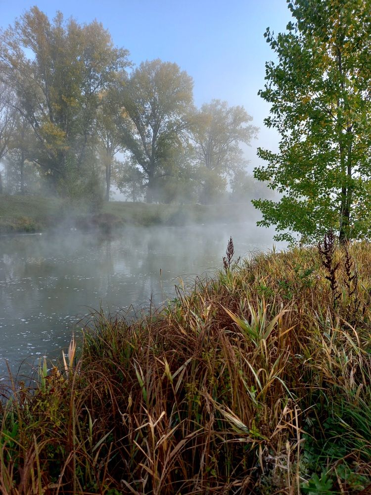 Фотография автора Любовь Харина