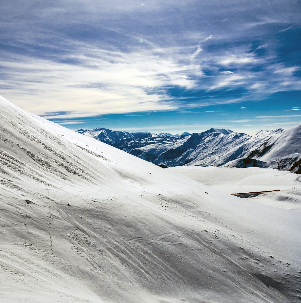 Photograph by Alex Kalpus