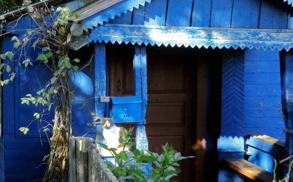 Фотография автора ТАТЬЯНА ЗАХАРОВА