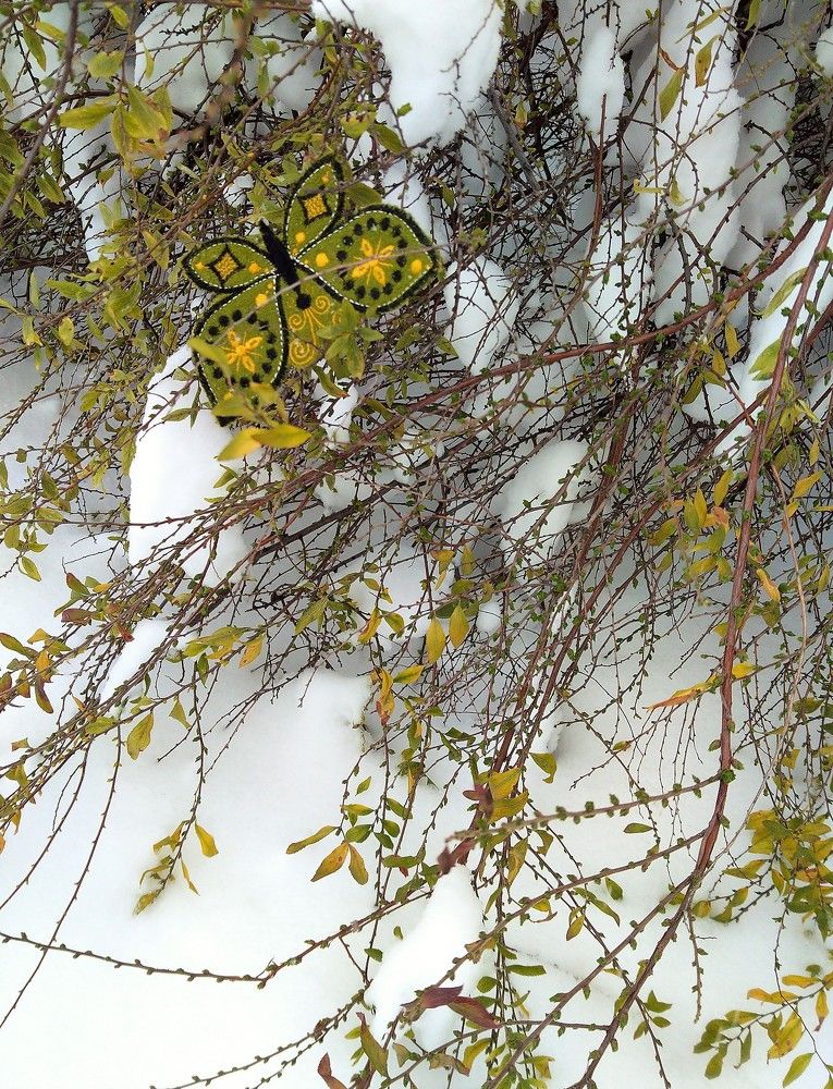 Зимняя бабочка / Winter Butterfly