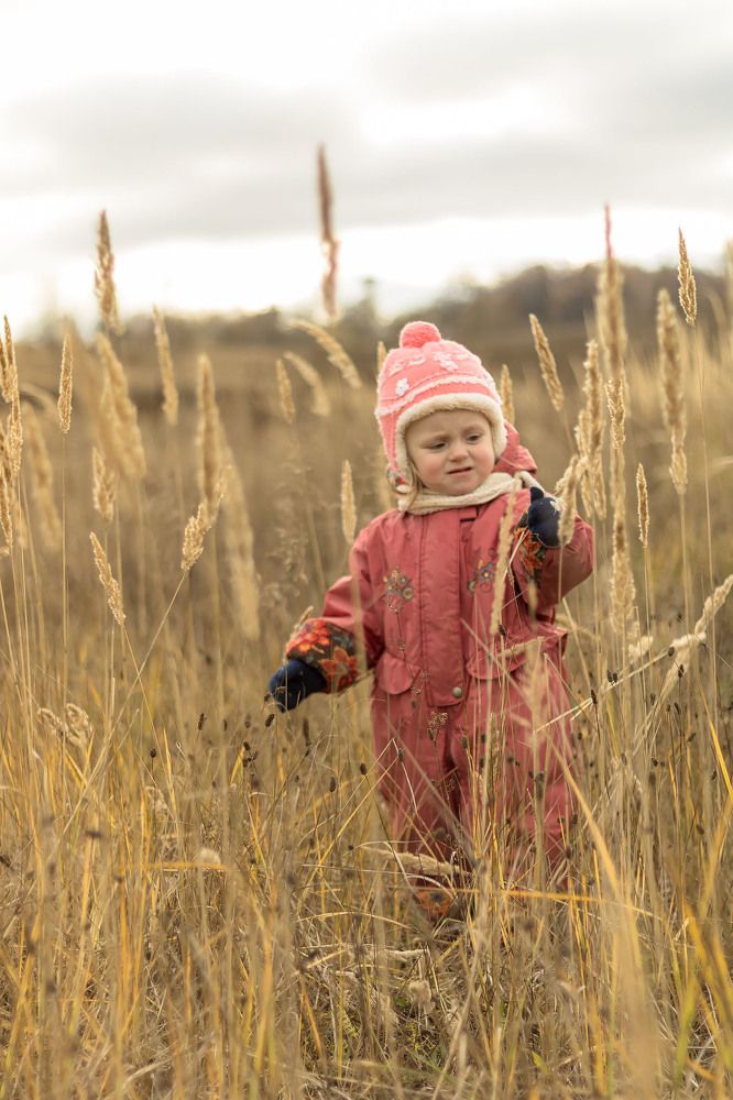Photograph by Алексей Чеботарев