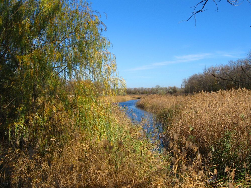 Photograph by Елена Гергель