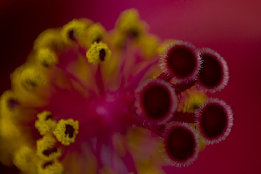 Photograph by Lucía Ruiz