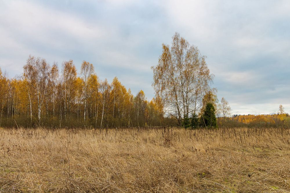 Photograph by Алексей Чеботарев