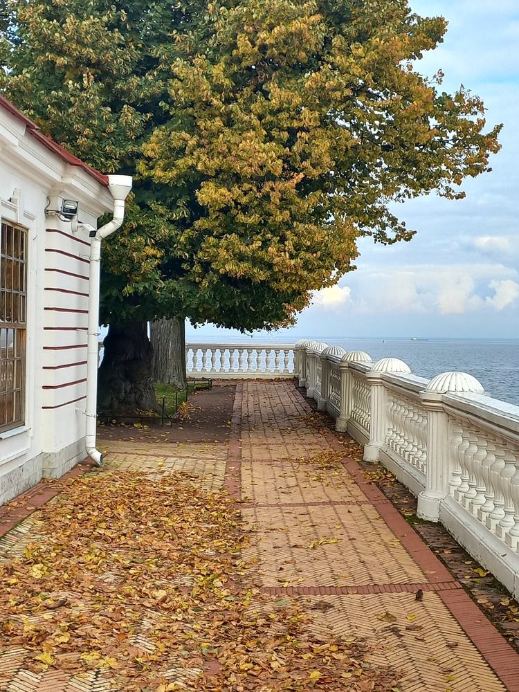 Photograph by Мария Тихомирова