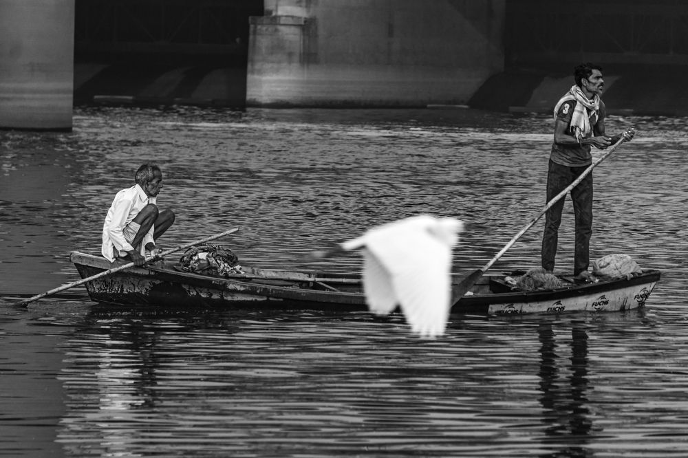 Photograph by RENU SHARMA