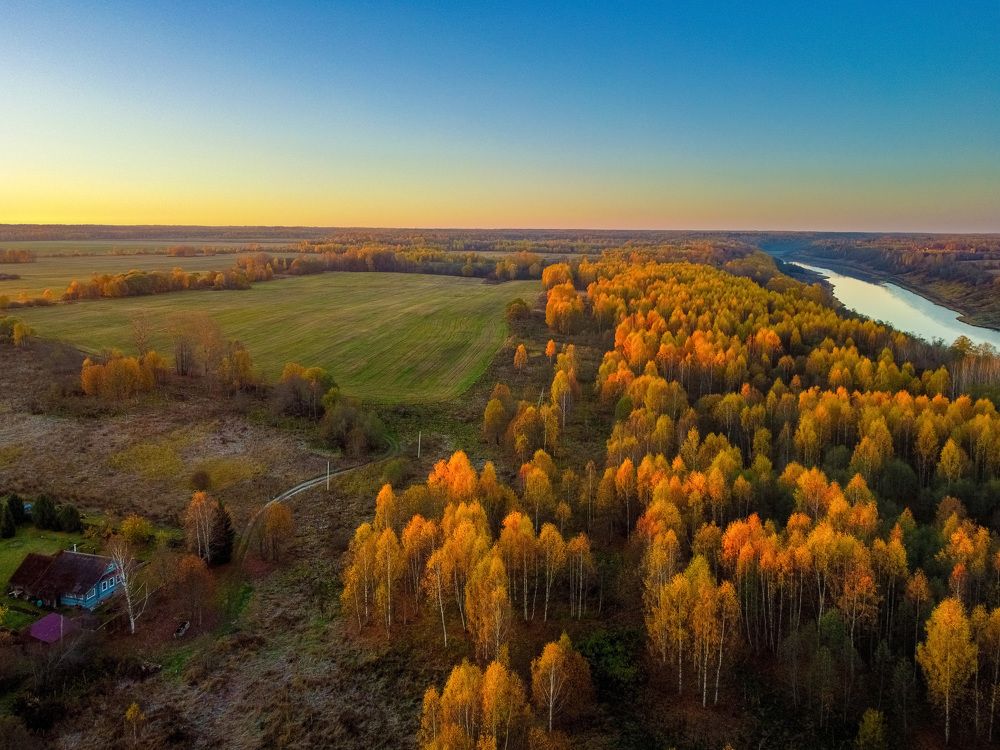 Осенний лес и дом рядом с рекой .
