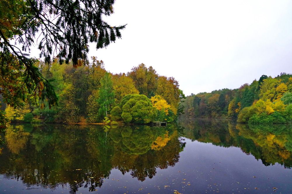 Photograph by АЛЕКСЕЙ