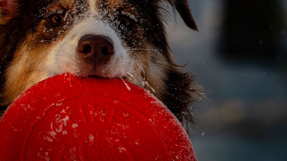 Photograph by Сергей Балашов