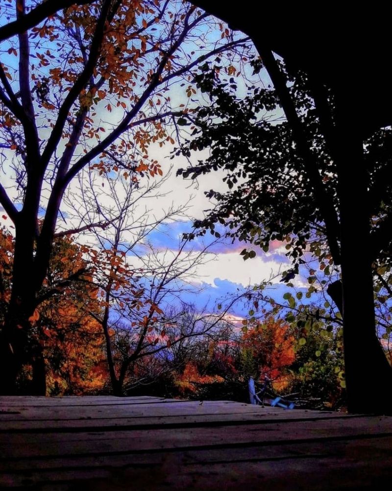 Фотография автора mohammadreza izadi