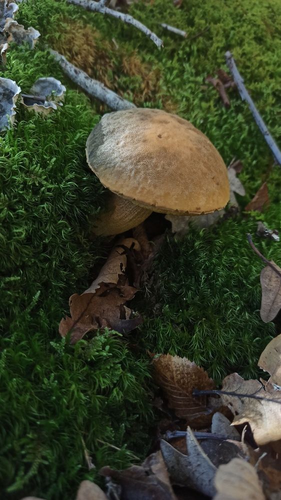 Photograph by Aleksey