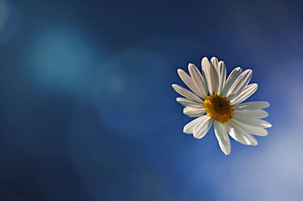 Photograph by Дмитрий Грысюк