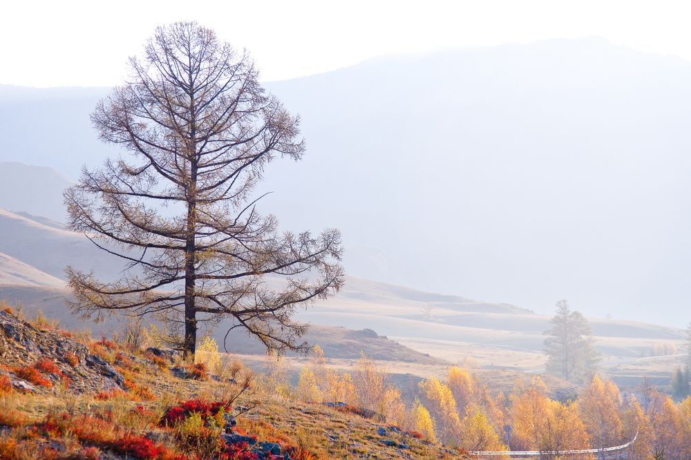 Photograph by Анатолий Стафичук