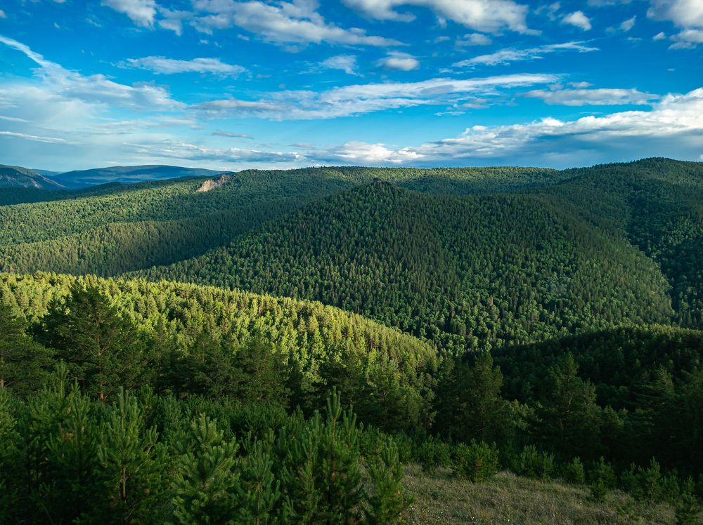 Photograph by Дмитрий Милевский