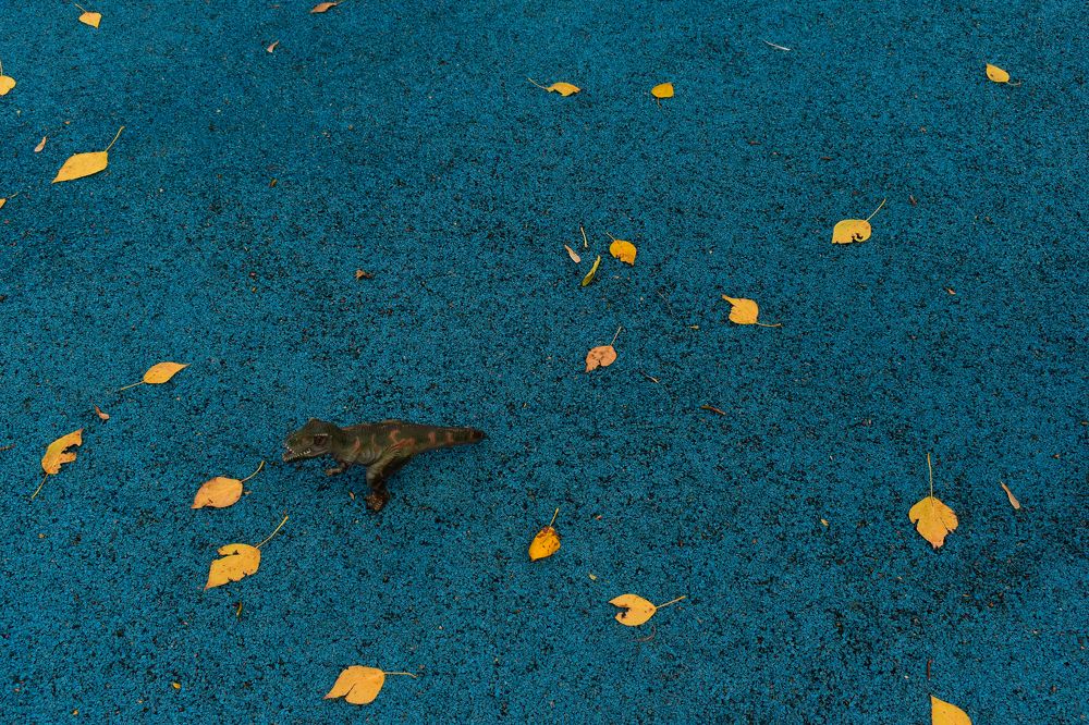 Photograph by Татьяна Носкович