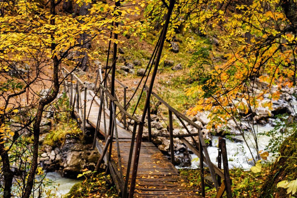 Photograph by Sl Vat