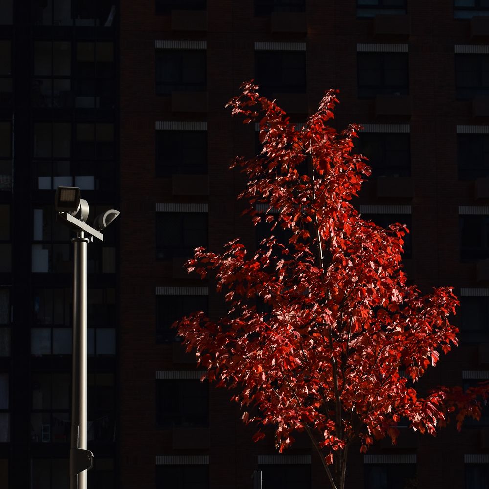 Photograph by Татьяна Носкович