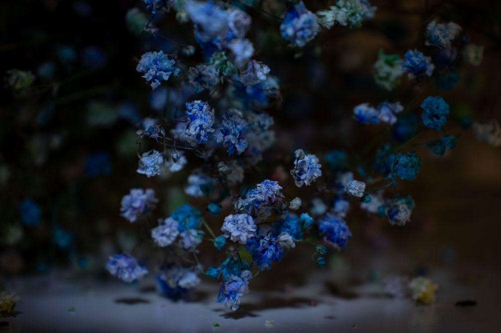 Photograph by Наталья Мотрий