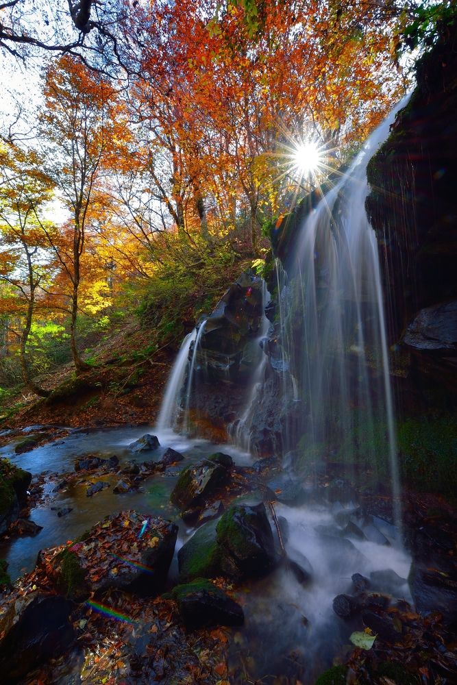 Photograph by Ohta Sigeki