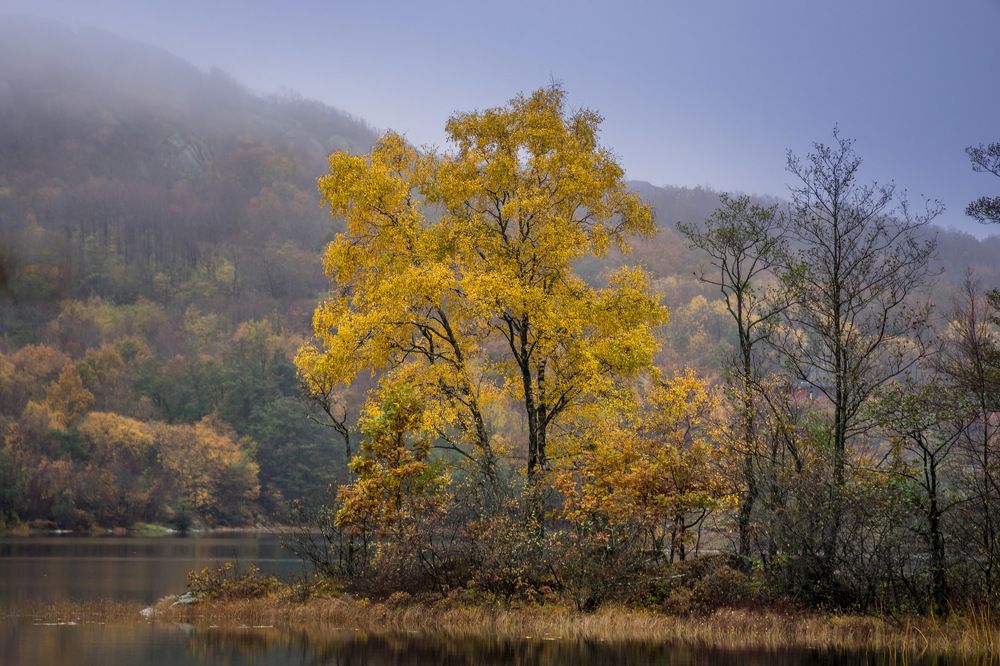 Photograph by Sidsel Tonnessen