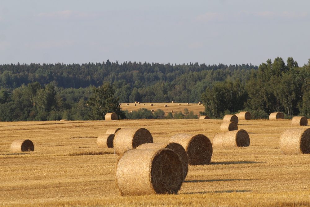 Photograph by Олеся Жакова
