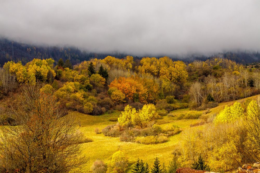 Photograph by Ivars Salmanis