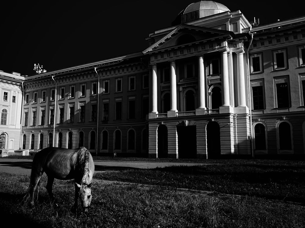 St. Petersburg State Repin Academy of Fine Arts