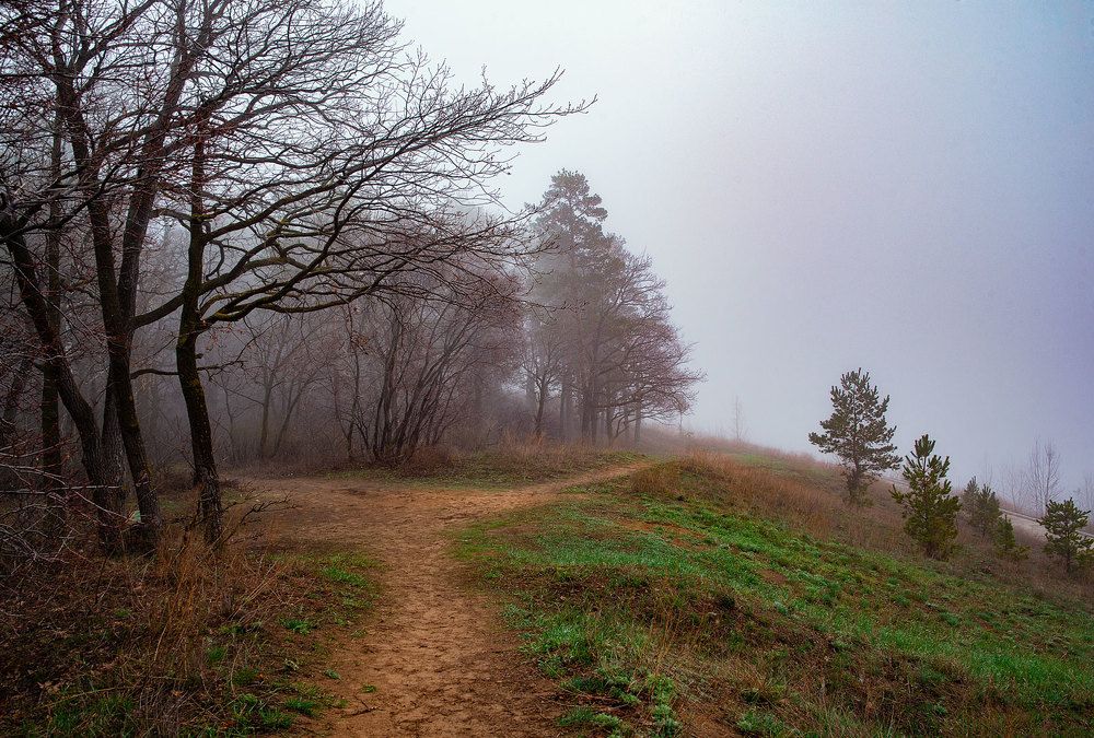 Photograph by Нелли Дзюба