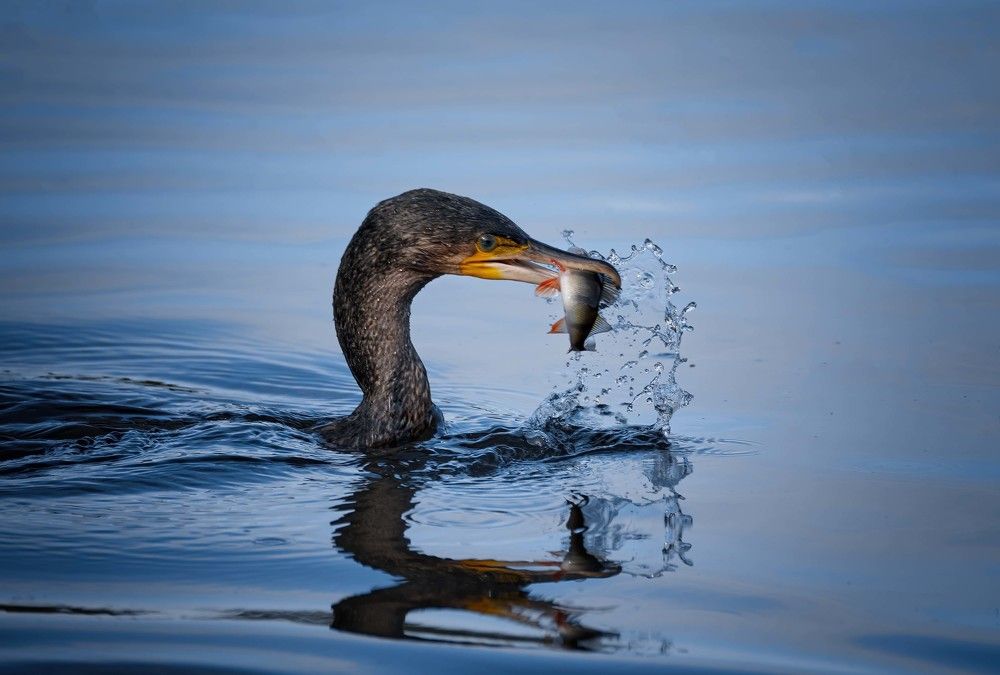 Photograph by Andrey Labutin