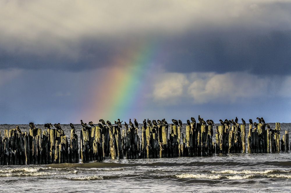 Photograph by Ivars Salmanis