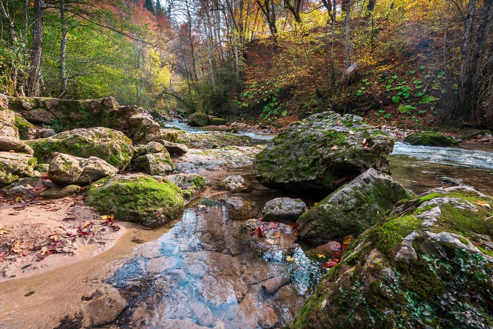 Осень на р. Курджипс