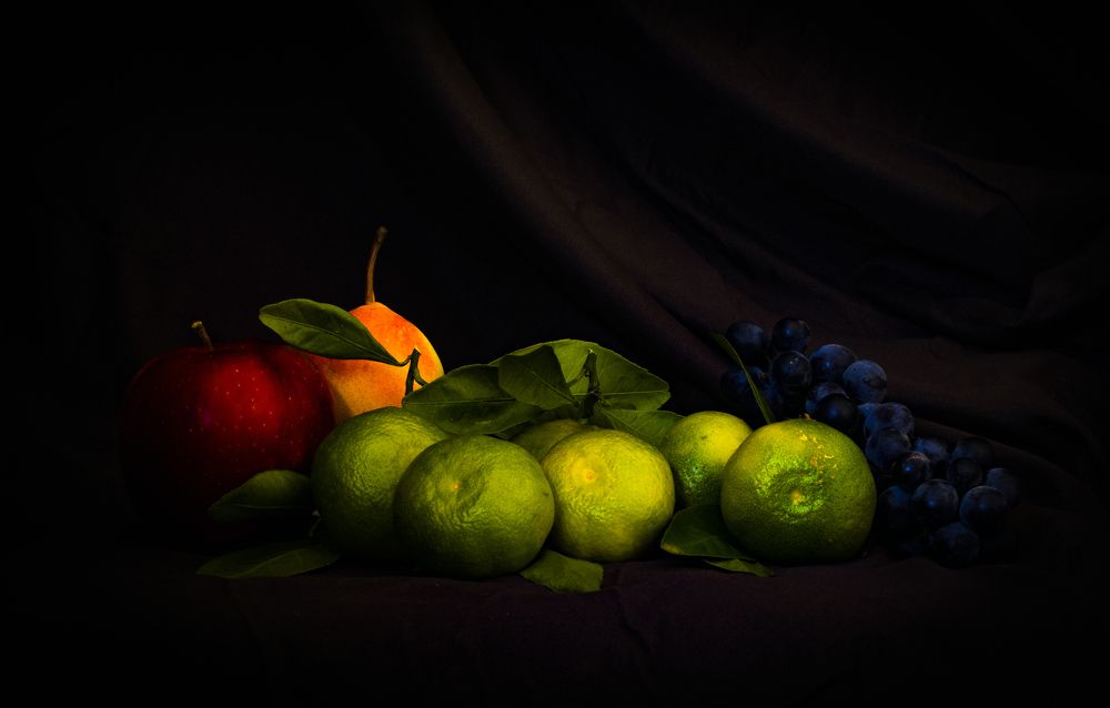 Photograph by Alex Kalpus